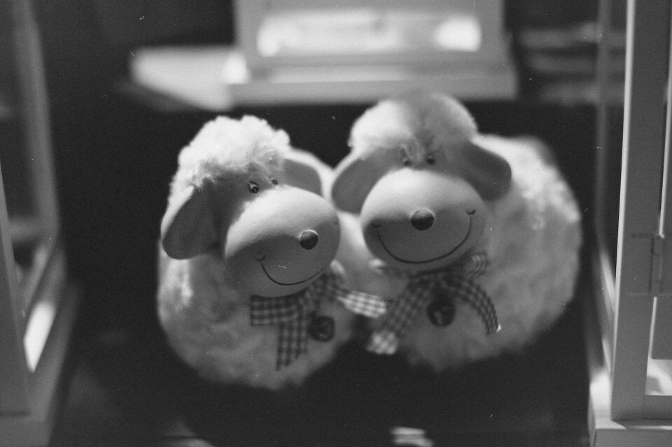 Kodak BW400CN<br />
<br />
Osnabrueck 圣诞集市