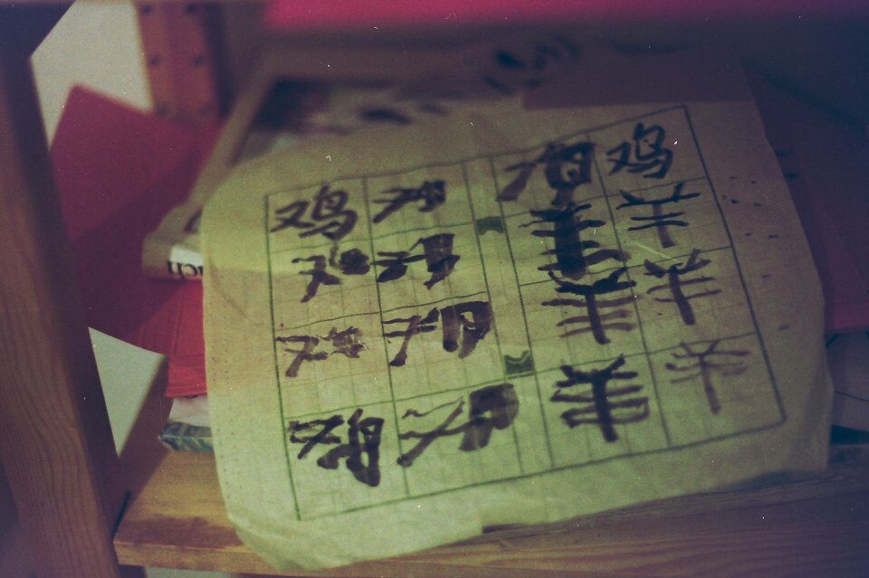 Kodak Farbwelt 200<br />
<br />
熊孩子练字
