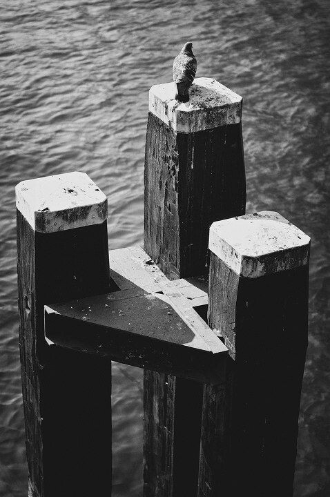 DOO_2984<br />