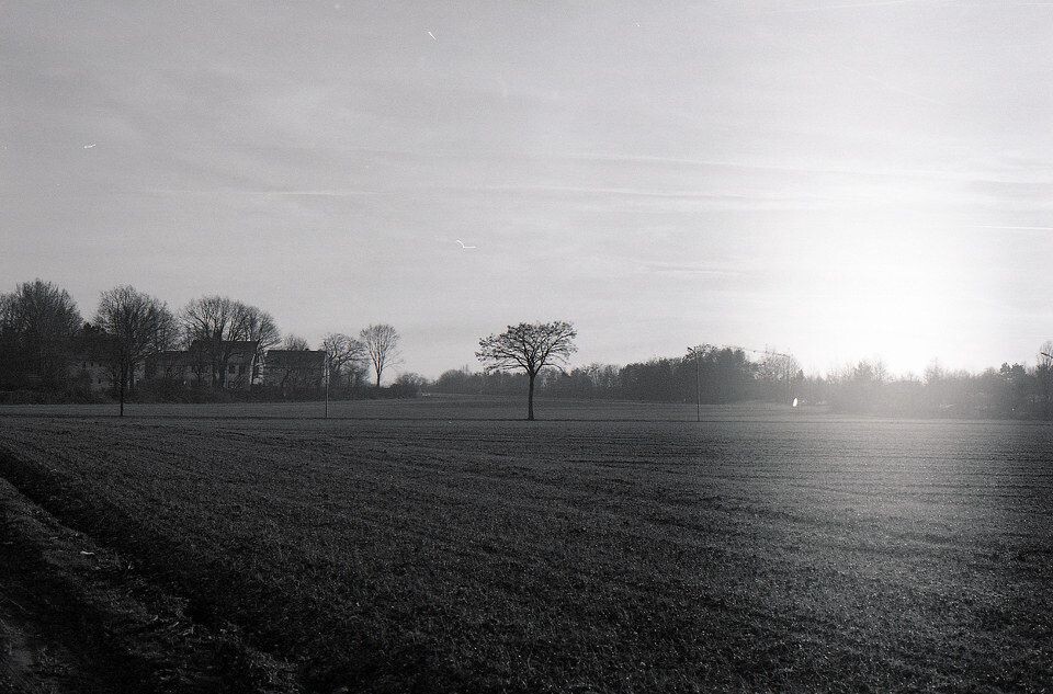 It comes, it goes.<br />
Ilford XP2 Super 400