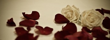 La vie en rose