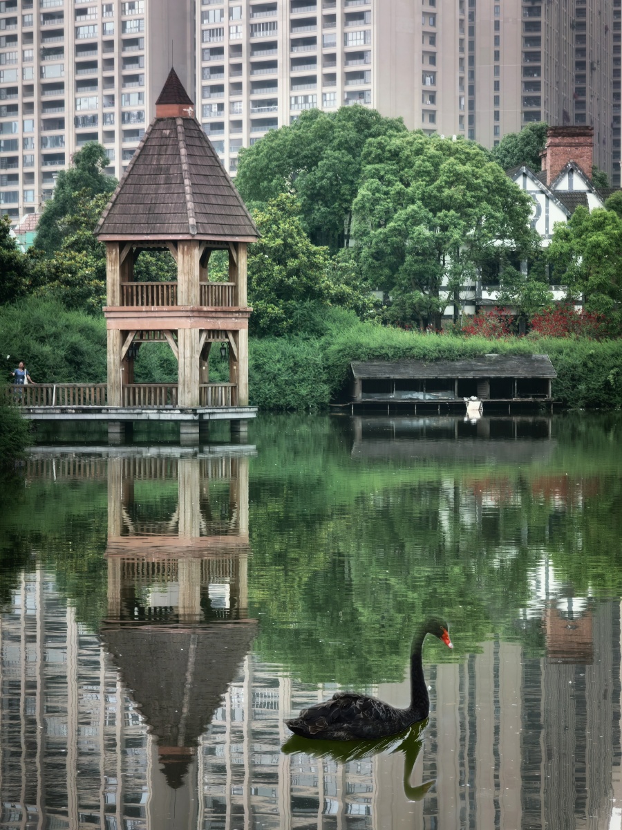 华阳南湖公园一角