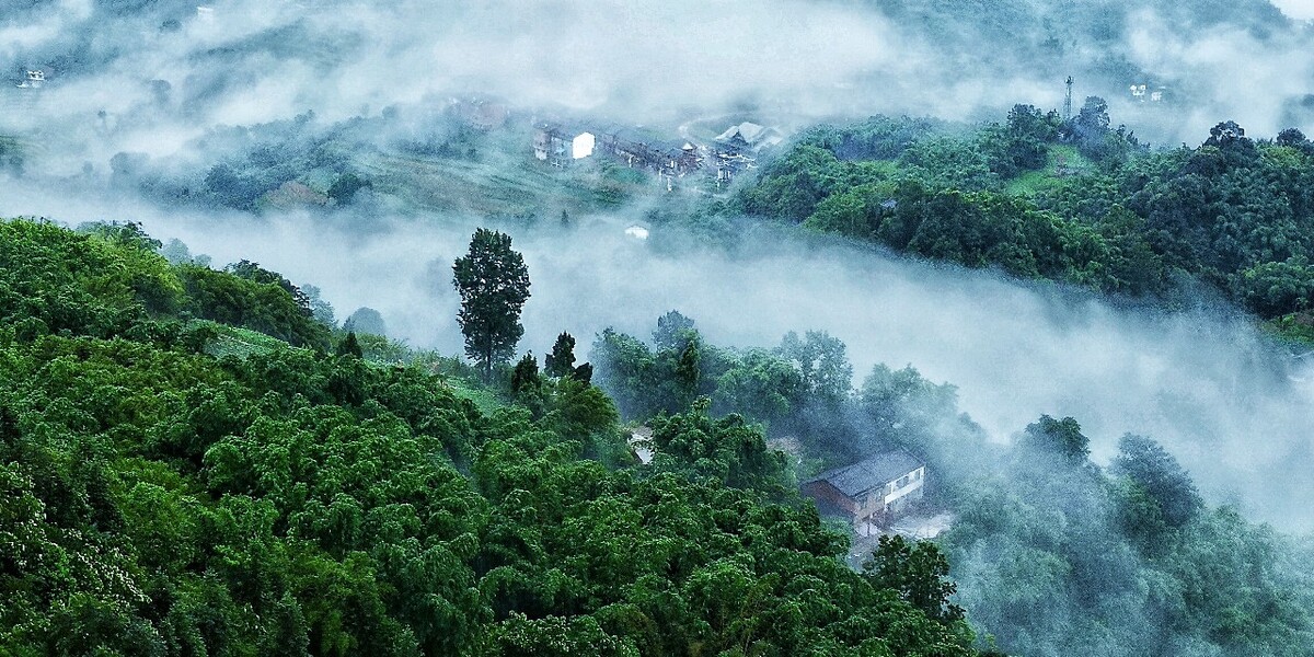 贵州望云峰风景区图片