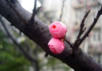 75FA9AB6-0B34-43CB-AB78-600E73825EF0/L0/001