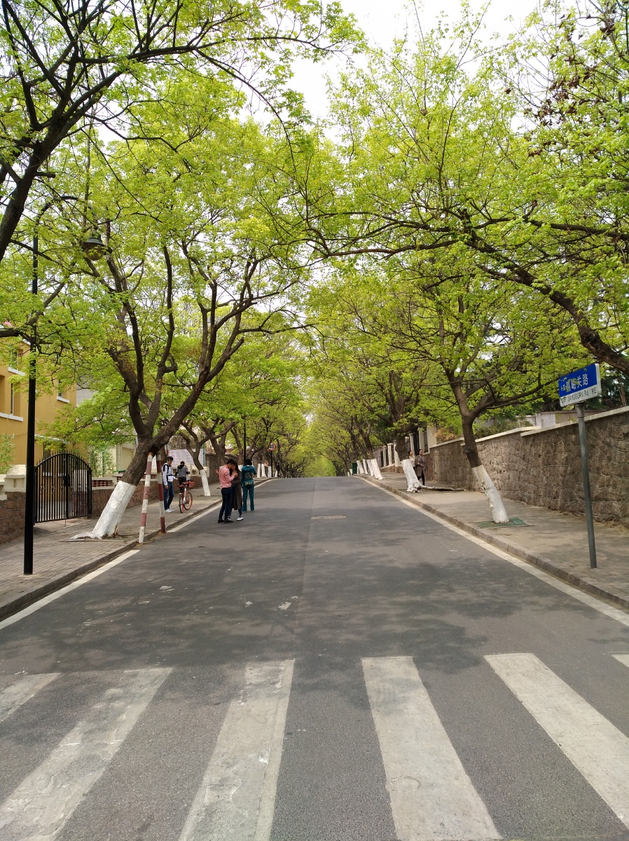 八大关嘉峪关路