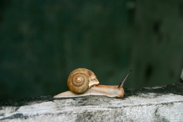 IMG_5404-