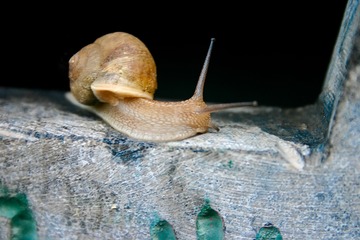 IMG_5407-