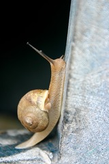 IMG_5411-