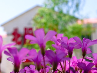 DSC03136-2