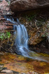 DSC_0684.jpg