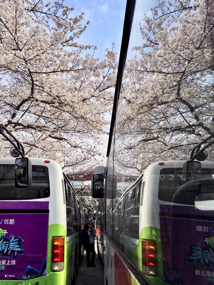 上海最美公交车站