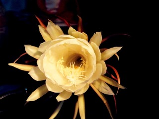 IMG_2839_副本.jpg