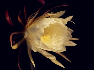 IMG_2840_副本.jpg