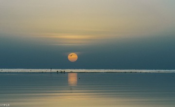 _DSC2260