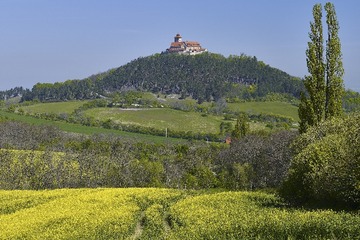 _DSC6258-1