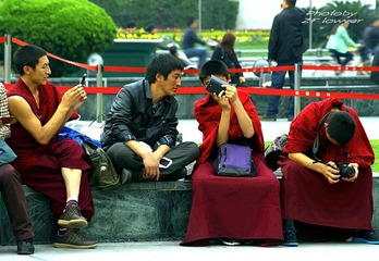IMGP7239_conew1.jpg