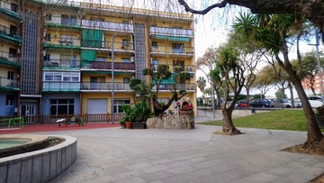 12013