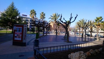12011