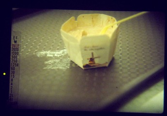 LOMO.