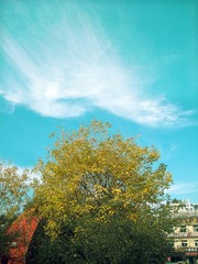 IMG_1287.JPG