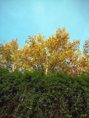 IMG_1430.JPG