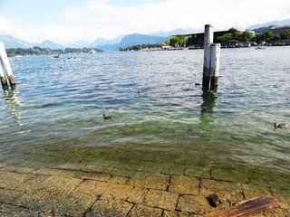 DSC01578.JPG
