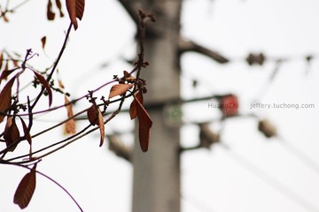 IMG_66772.jpg