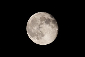 IMG_7132.JPG