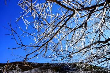 DSC04910_副本.jpg