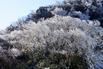 DSC04919_副本.jpg