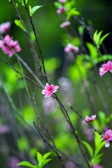 DSC08626_副本.jpg