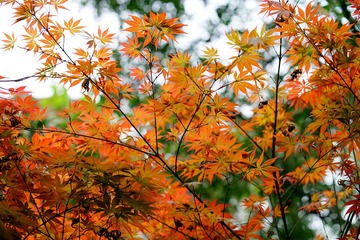 DSC08655_副本.jpg