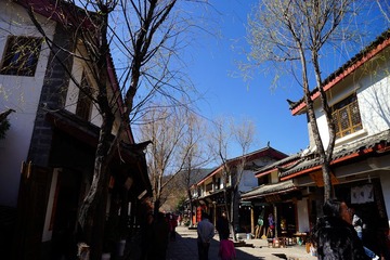 DSC05680_副本.jpg