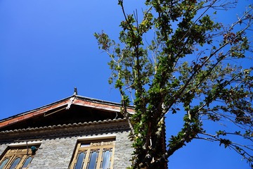 DSC05696_副本.jpg