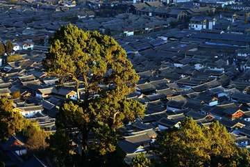 DSC05898_副本.jpg