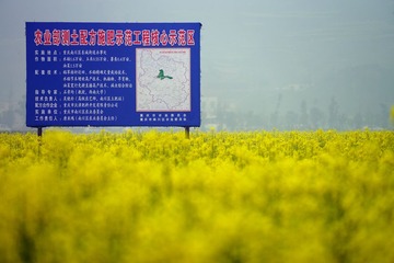 DSC07743_副本.jpg