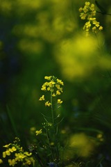 DSC08069_副本.jpg