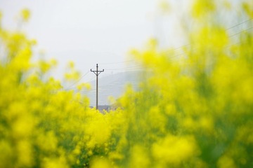 DSC08272_副本.jpg