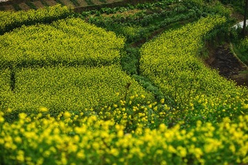 DSC08362_副本.jpg