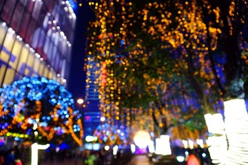 DSC05588_副本.jpg