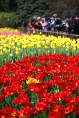 DSC01437_副本.jpg