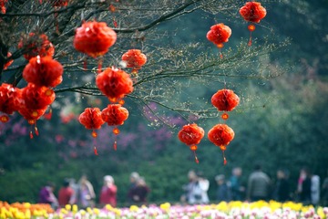 DSC01507_副本.jpg