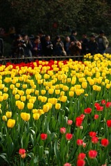 DSC01543_副本.jpg