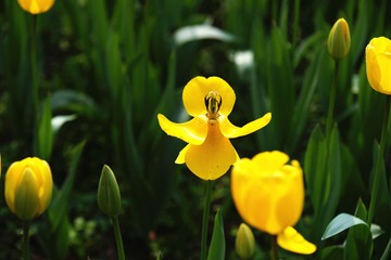 DSC01570_副本.jpg