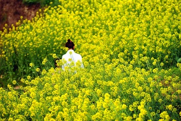 DSC08300_副本.jpg