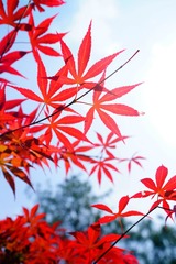DSC00112_副本.jpg