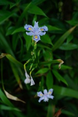 DSC00042_副本.jpg