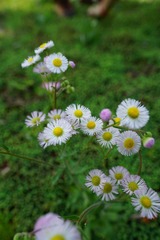 DSC00150_副本.jpg