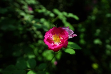 DSC09781_副本.jpg