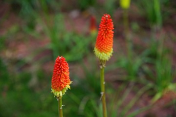 DSC02716_副本.jpg